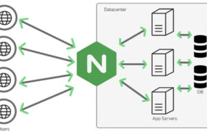 Apa Itu NGINX? Penjelasan, Fitur dan Keunggulan Arsitektur NGINX