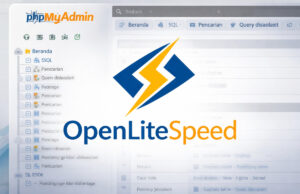 Panduan Install phpMyAdmin dengan OpenLiteSpeed Web Server Ilustrasi phpMyAdmin dengan OpenLiteSpeed Web Server
