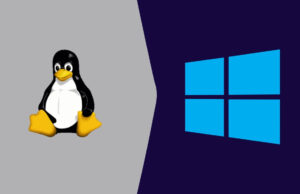 Pemerintah Prancis Umumkan Siap Tinggalkan Windows dan Beralih ke Linux Linux dan Microsft Windows