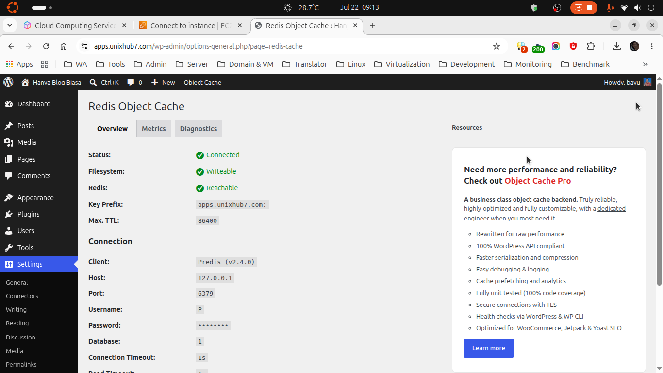 Redis Object Cache - apps.unixhub7.com